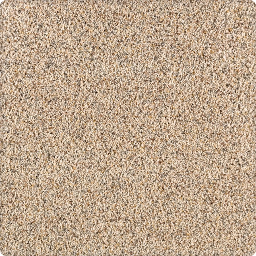 Mohawk Industries Amazing Approach Magnolia Bloom Carpet Willow Grove, Pennsylvania Easton