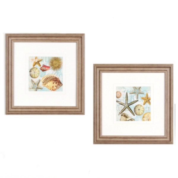 Beach Shells Framed Art Print Kirklands