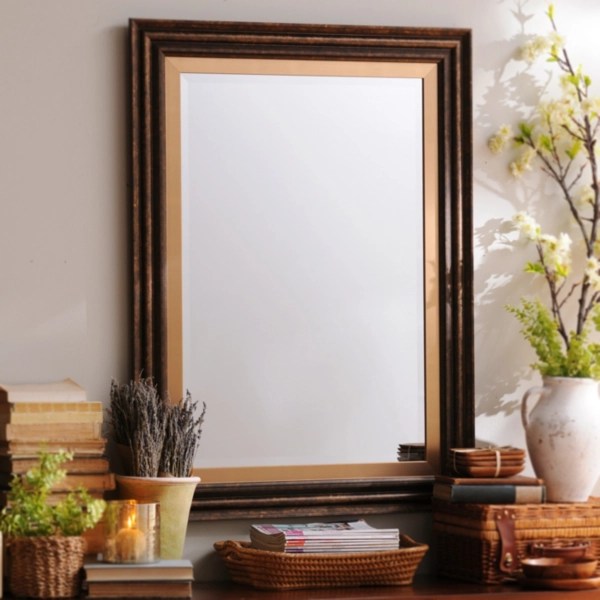 Dark Bronze & Gold Framed Mirror, 33x45 Kirklands