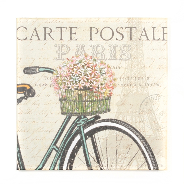 Vintage Bicycle I Canvas Art Print Kirklands