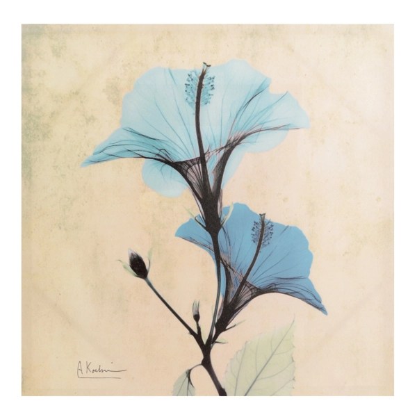 Turquoise Xray Floral I Canvas Art Print Kirklands