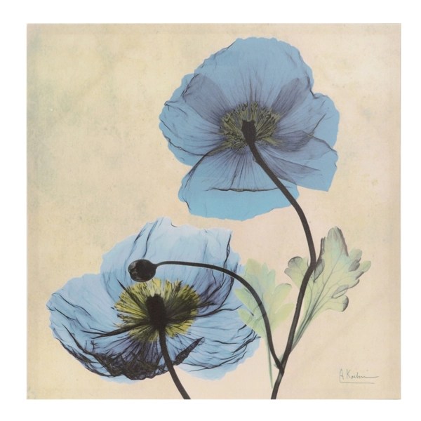 Turquoise Xray Floral II Canvas Art Print Kirklands