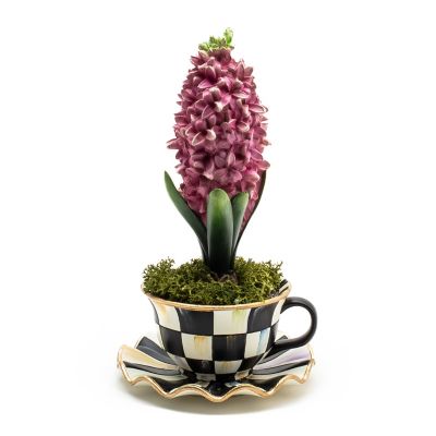 MacKenzieChilds Teacup Hyacinth