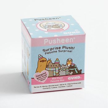 Pusheen Winter Box 2023 Pusheen Winter Wonderland Blind Box | Paper Source