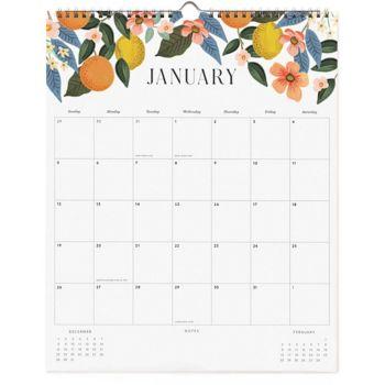 2025 Roses Appointment Calendar Paper Source