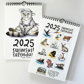 2025 Swimsuit Wall Calendar Paper Source