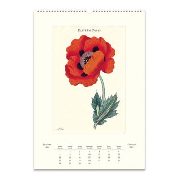 2024 Cavallini & Co. Botanica Wall Calendar Paper Source