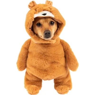 Brown Bear Halloween Dog Costume Set Cute Pet Clothes Fits Most Dogs M