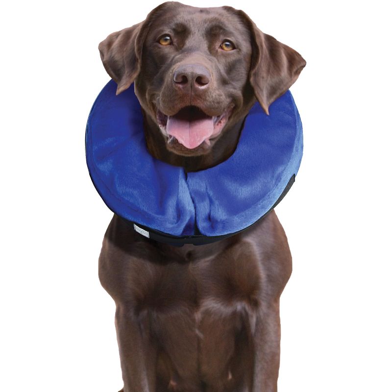 KONG Cloud Dog Collar SummerStableSteals