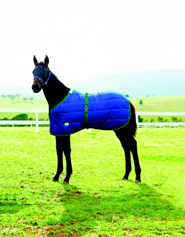 Horse blankets, a training tool and protection from the elements