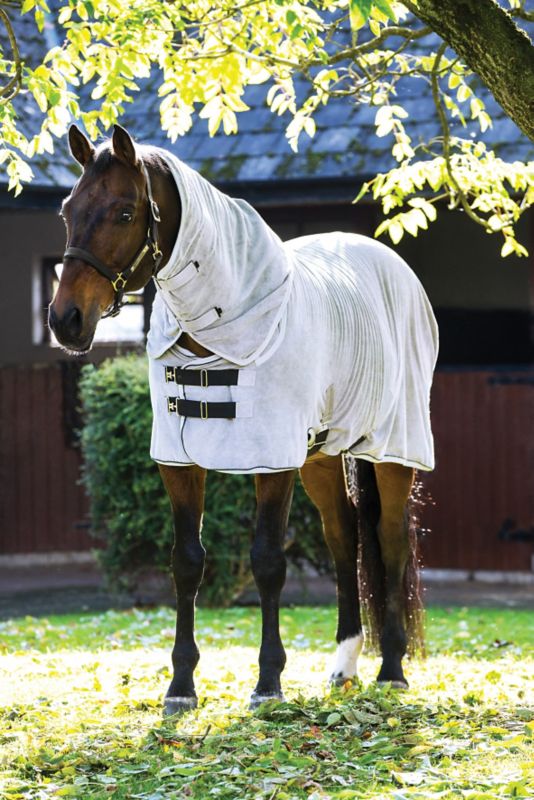 Rambo Dry Rug No Fill WarehouseOutlet