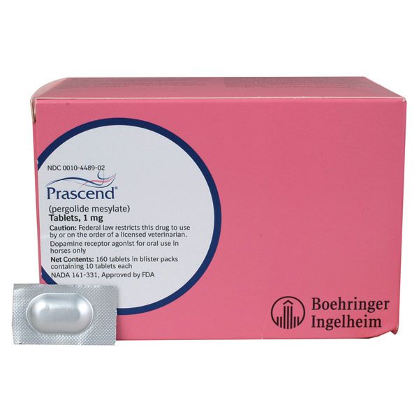 Prascend for Horses Dosage & Best Price