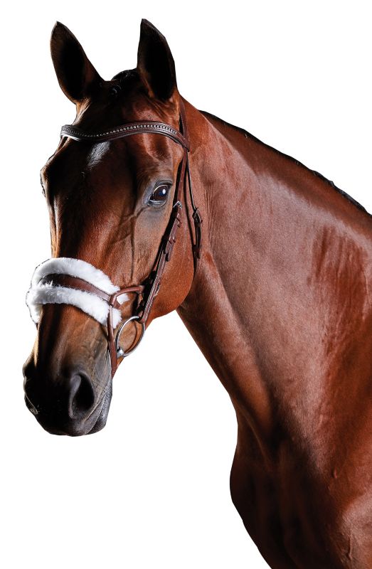 Collegiate ComFiTec Sheepskin Bridle StableSteals
