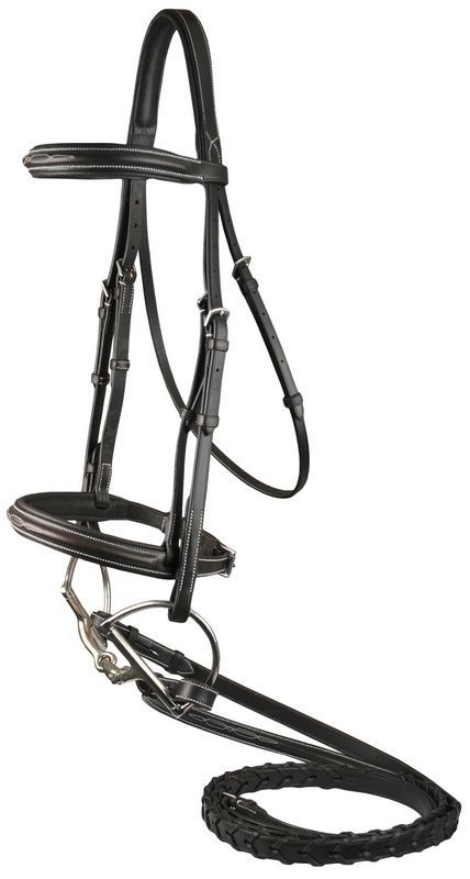 DaVinci Fancy Raised Comfort Bridle