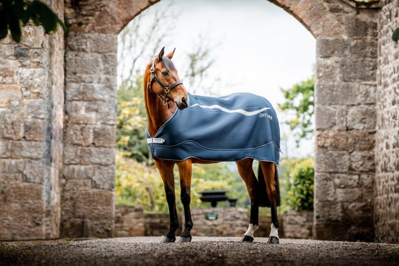 Horseware Dry Liner WarehouseOutlet