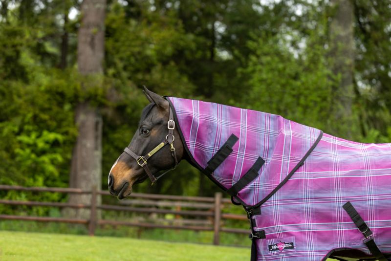 Kensington Textilene Neck Cover SummerStableSteals