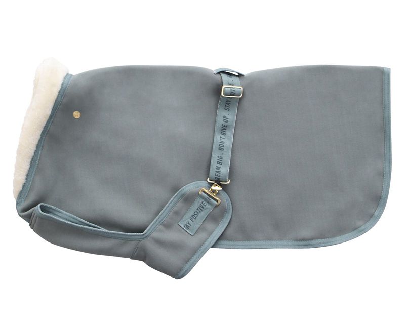 QHP Equestrian Dream Dog Rug SummerStableSteals