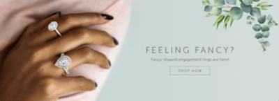 The Engagement Ring Store Robbins Brothers