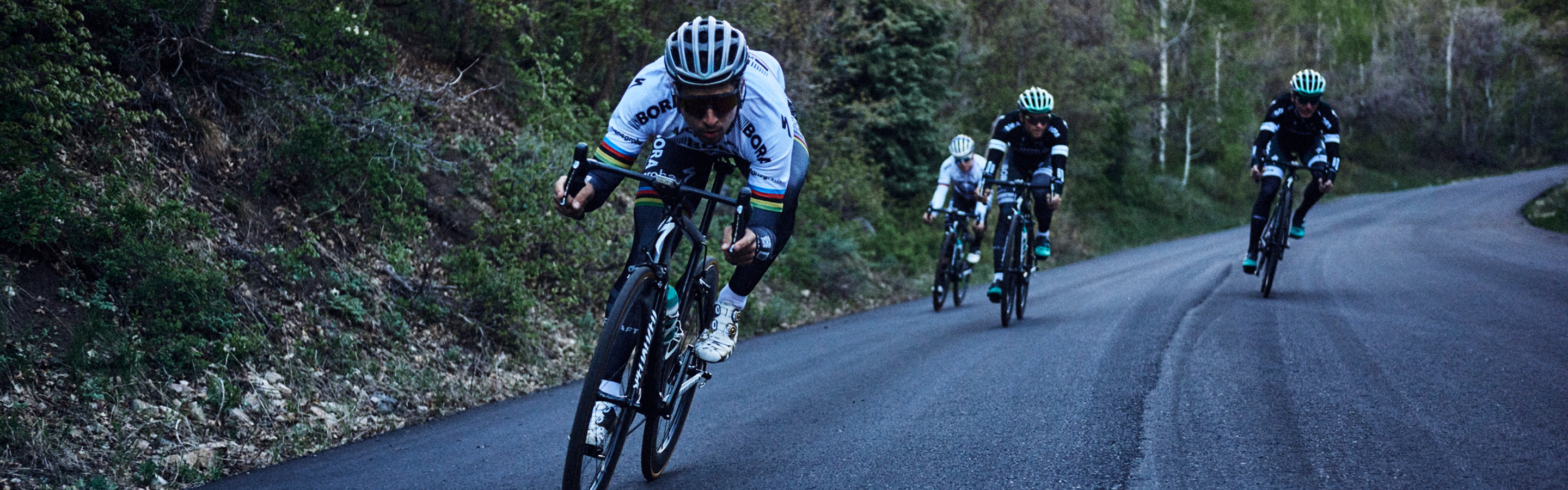 Performance Road Bikes