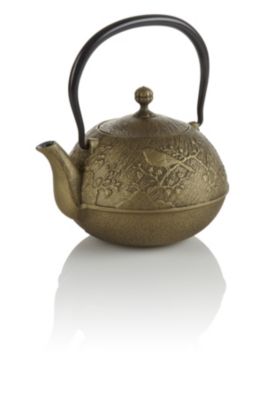 Teavana Maromi Bird Cast Iron Teapot Innopoint