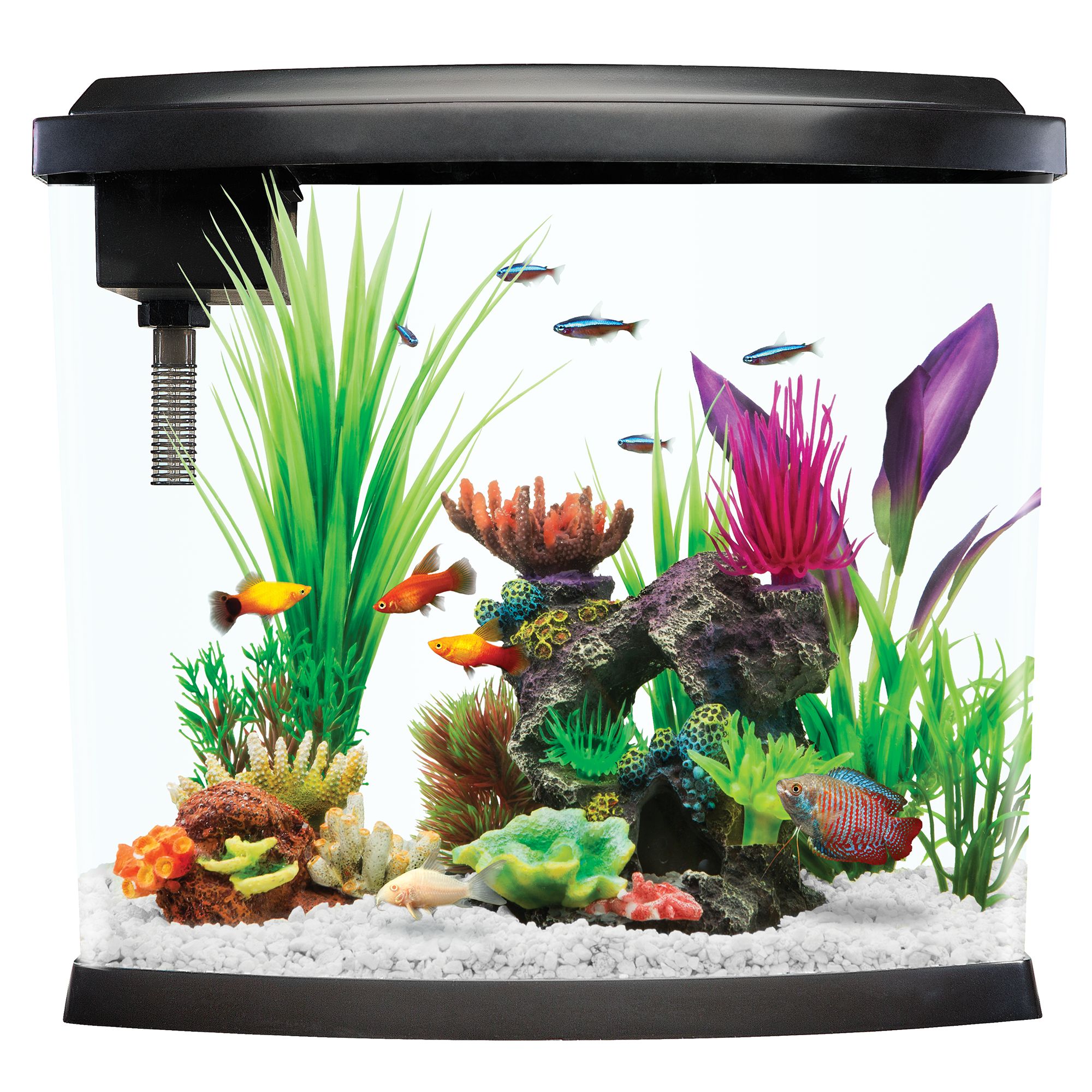 Top Fin Imagine Aquarium Kit size 5 Gal Shop Your Way Online