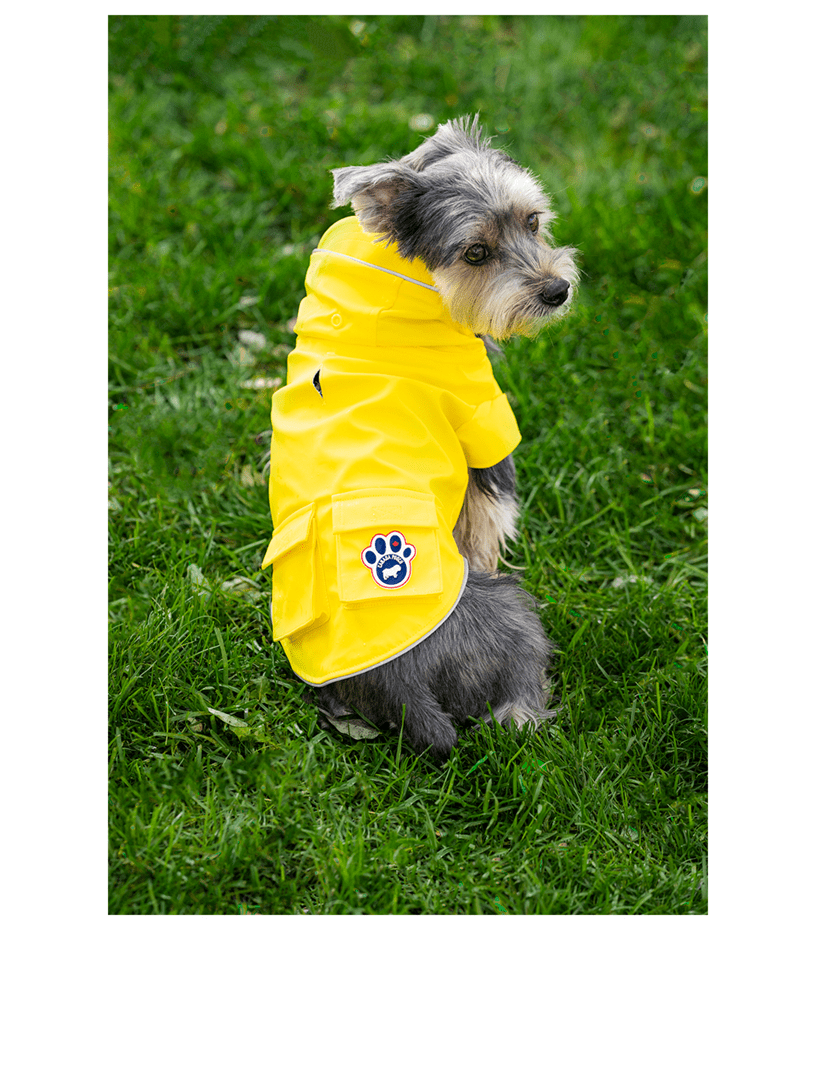 CANADA POOCH Torrential Tracker Holt Renfrew Canada