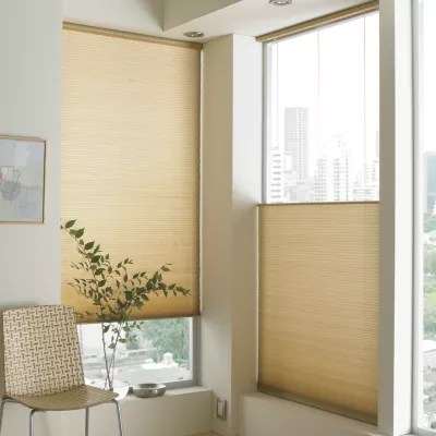 JCPenney Home Custom Top Down/Bottom Up Cordless Cellular Shade