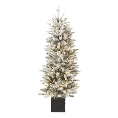 North Pole Trading Co. 5 Foot Burlington Fir Slim LED PreLit Flocked