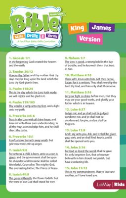 Bible Skills Drills and Thrills Green Cycle Verse Cards KJV Lifeway