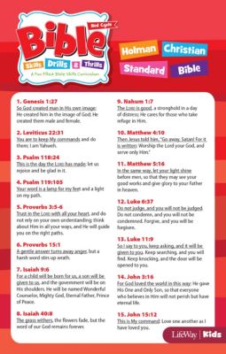 Bible Skills, Drills, & Thrills Red Cycle HCSB Verse Cards LifeWay