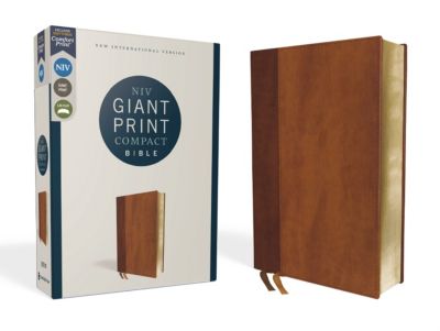 NIV, Teen Study Bible, Compact, Leathersoft, Brown,.
