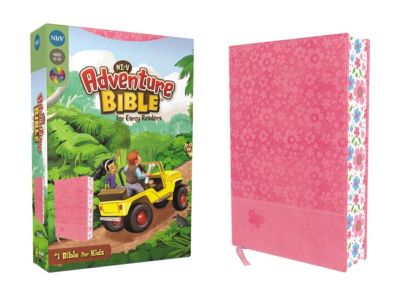 Nirv Adventure Bible For Early Readers Leathersoft Pink Purple.