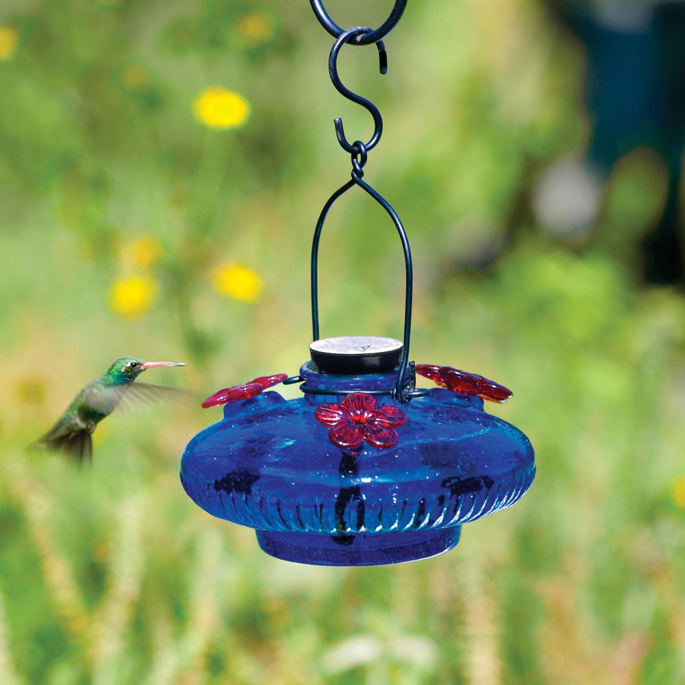 Handblown Glass Hummingbird Feeder National Geographic Store