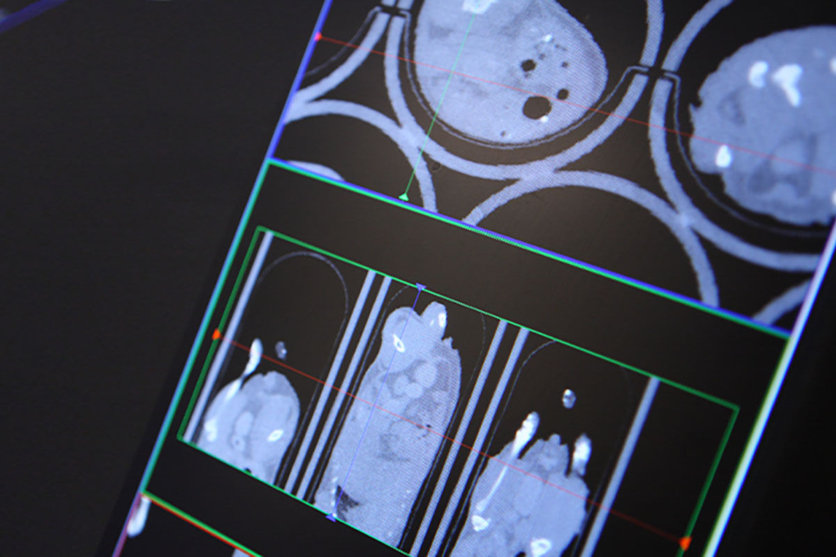 Nonclinical Imaging Labcorp