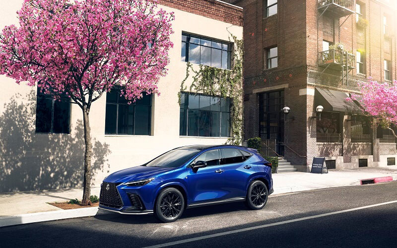 Lexus NX vs Toyota RAV4 Larchmont NY Lexus of Larchmont