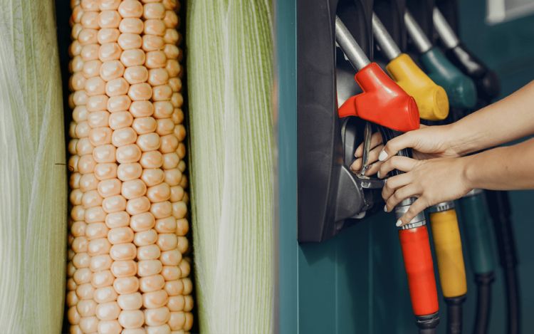 From corn to ethanol improving the fermentation process with NIRS