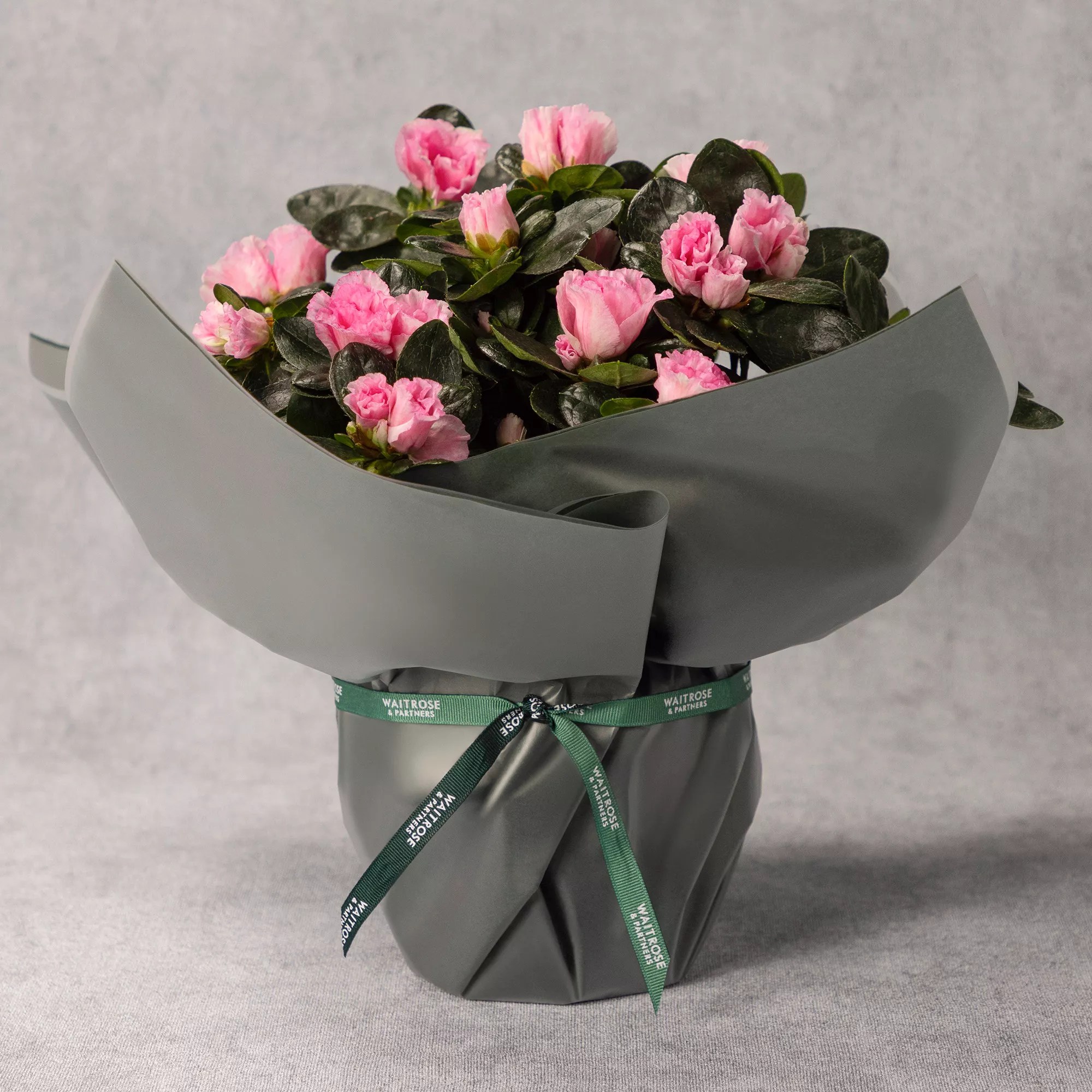 Waitrose Flowers Mothers Day Best Flower Site
