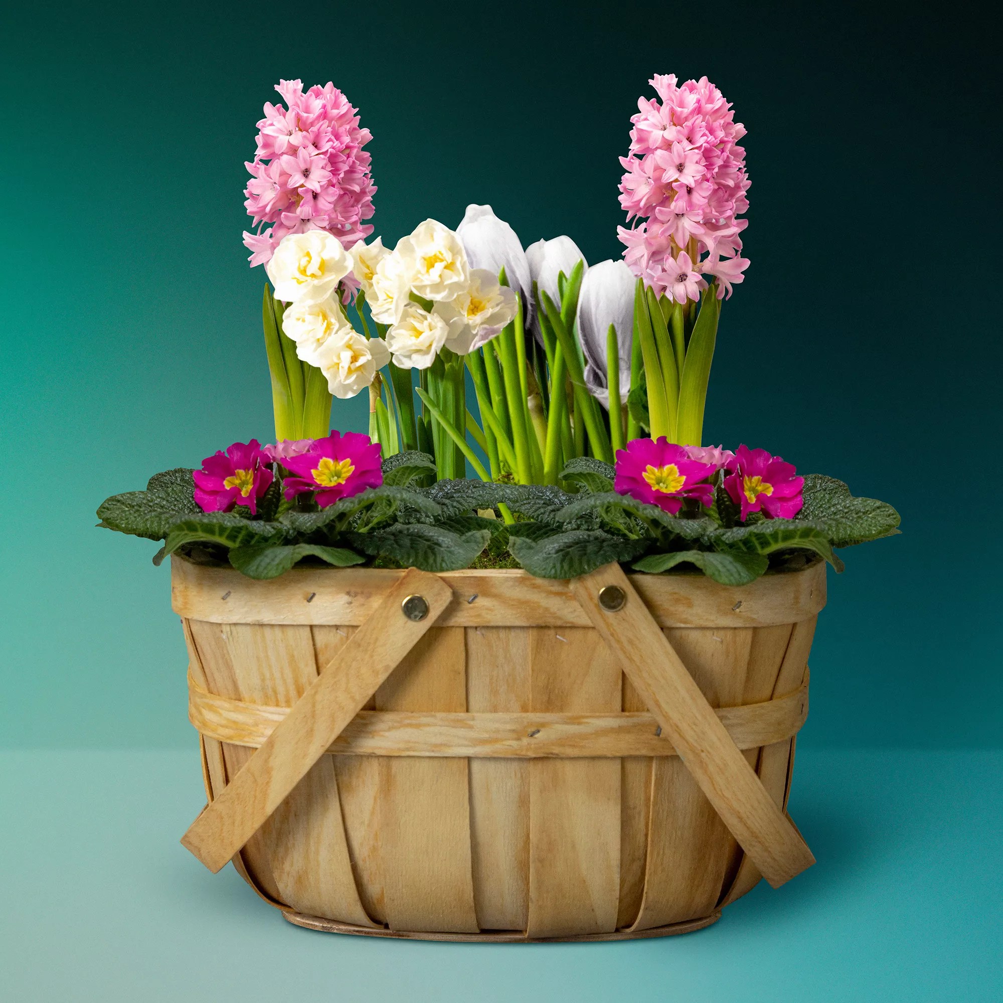 Waitrose Flowers Review Best Flower Site