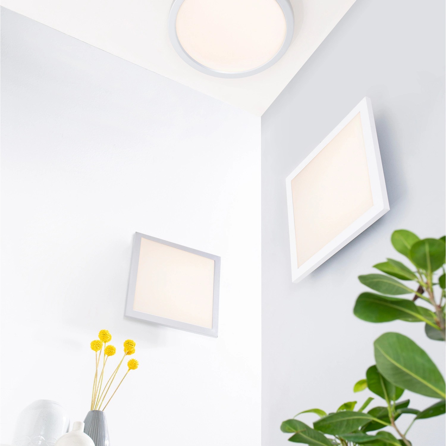 CASALUX LED Wand- und Deckenleuchte | HOFER