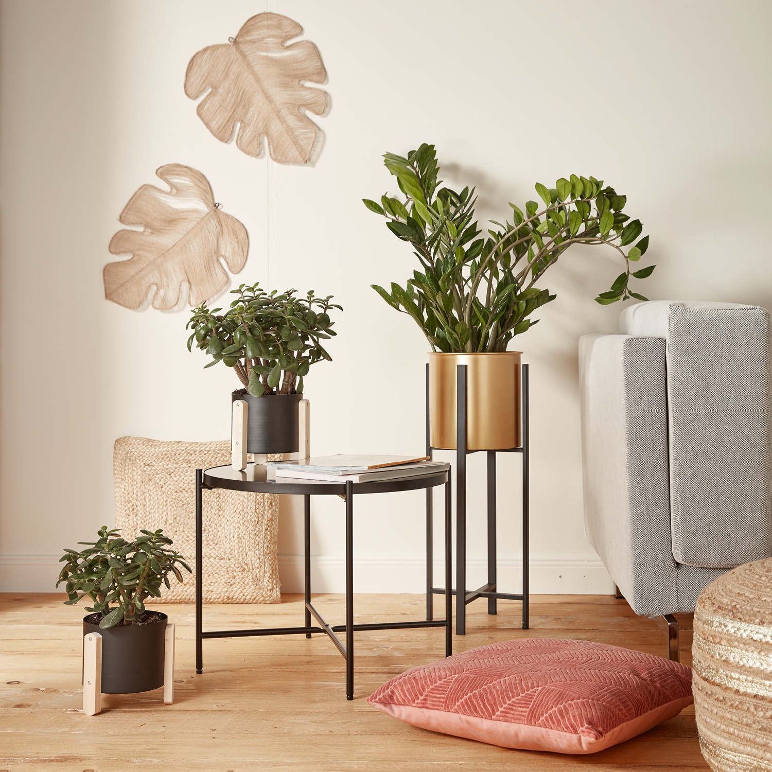 gesponsert Durchsuche Rabatt aldi süd blumentopf holz Wunder Stöhnt Bluten