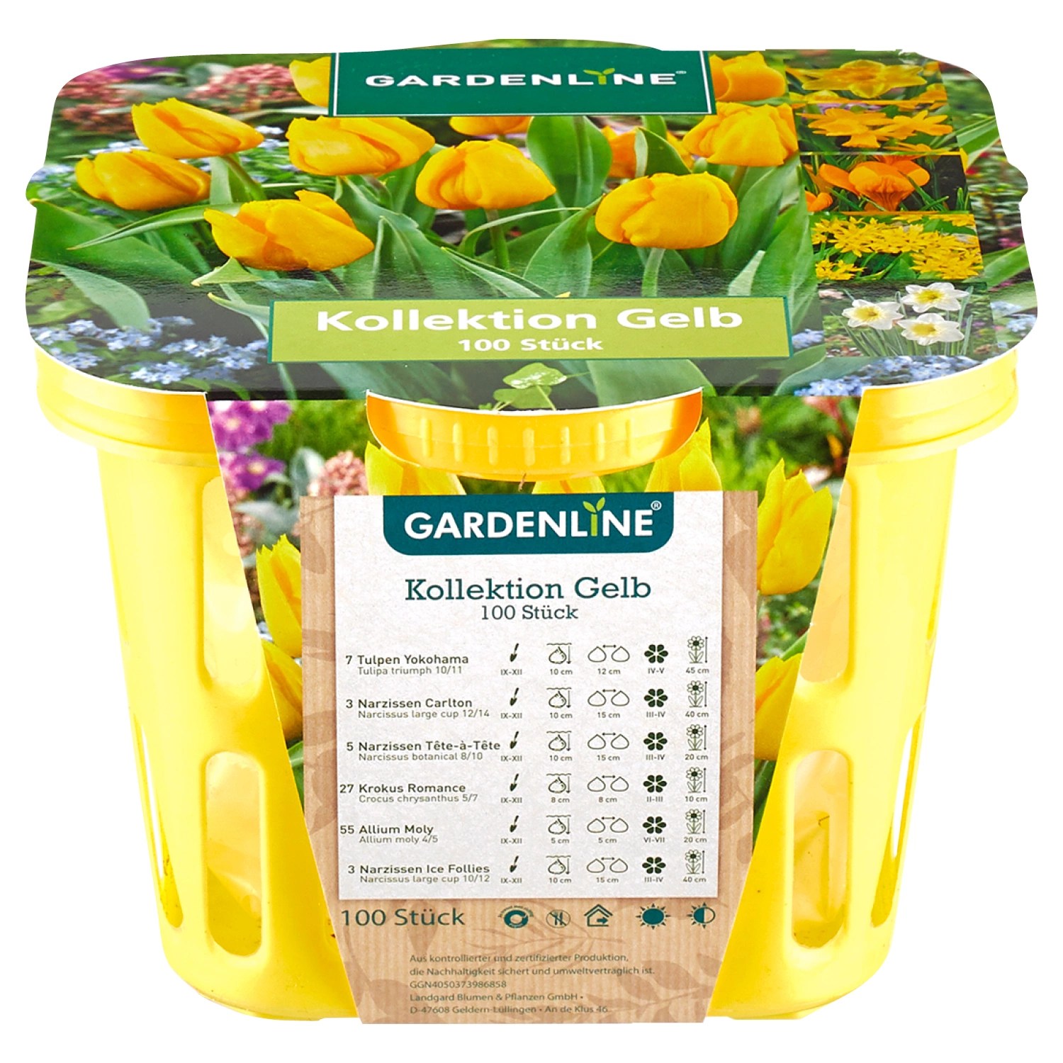 GARDENLINE® Blumenzwiebeln ALDI SÜD
