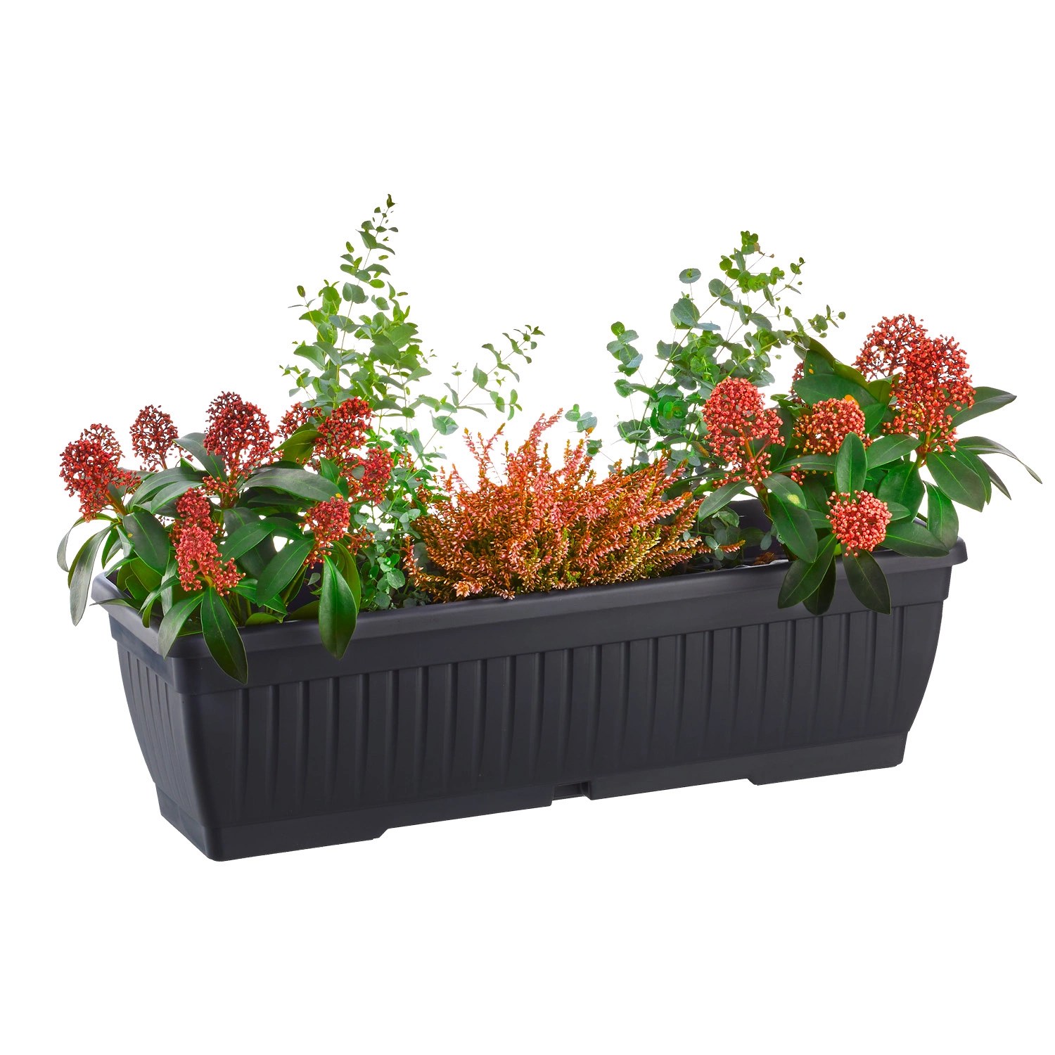 Belavi® Balkonkasten Mit Wasserreservoir | Aldi Süd