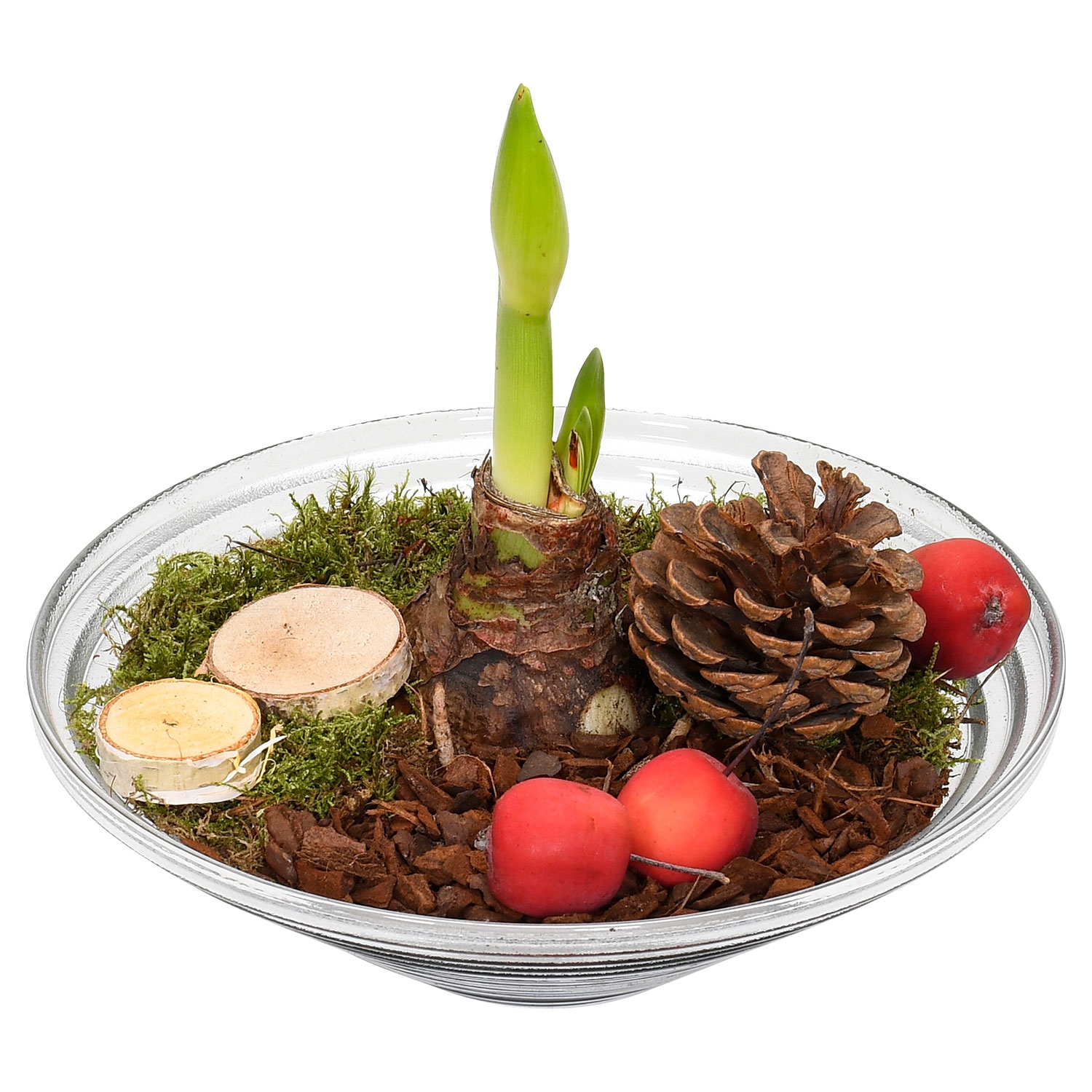 WeihnachtsArrangement ALDI SÜD