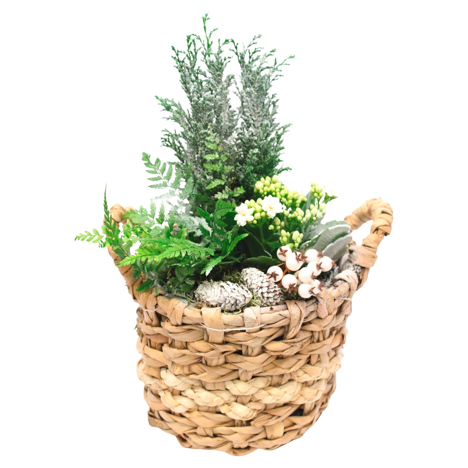 GARDENLINE® Weihnachtliches Arrangement ALDI SÜD