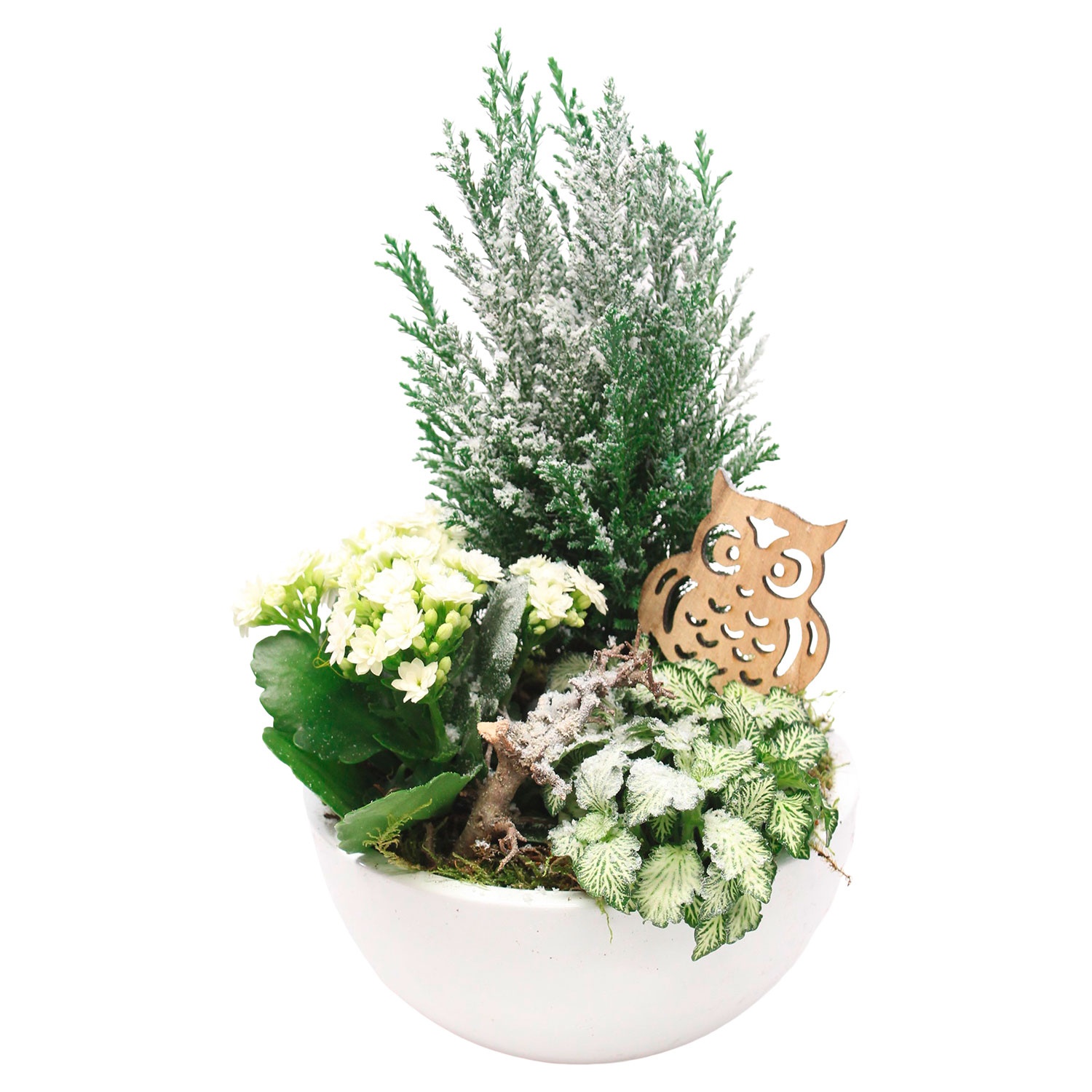 GARDENLINE® Weihnachtliches Arrangement ALDI SÜD