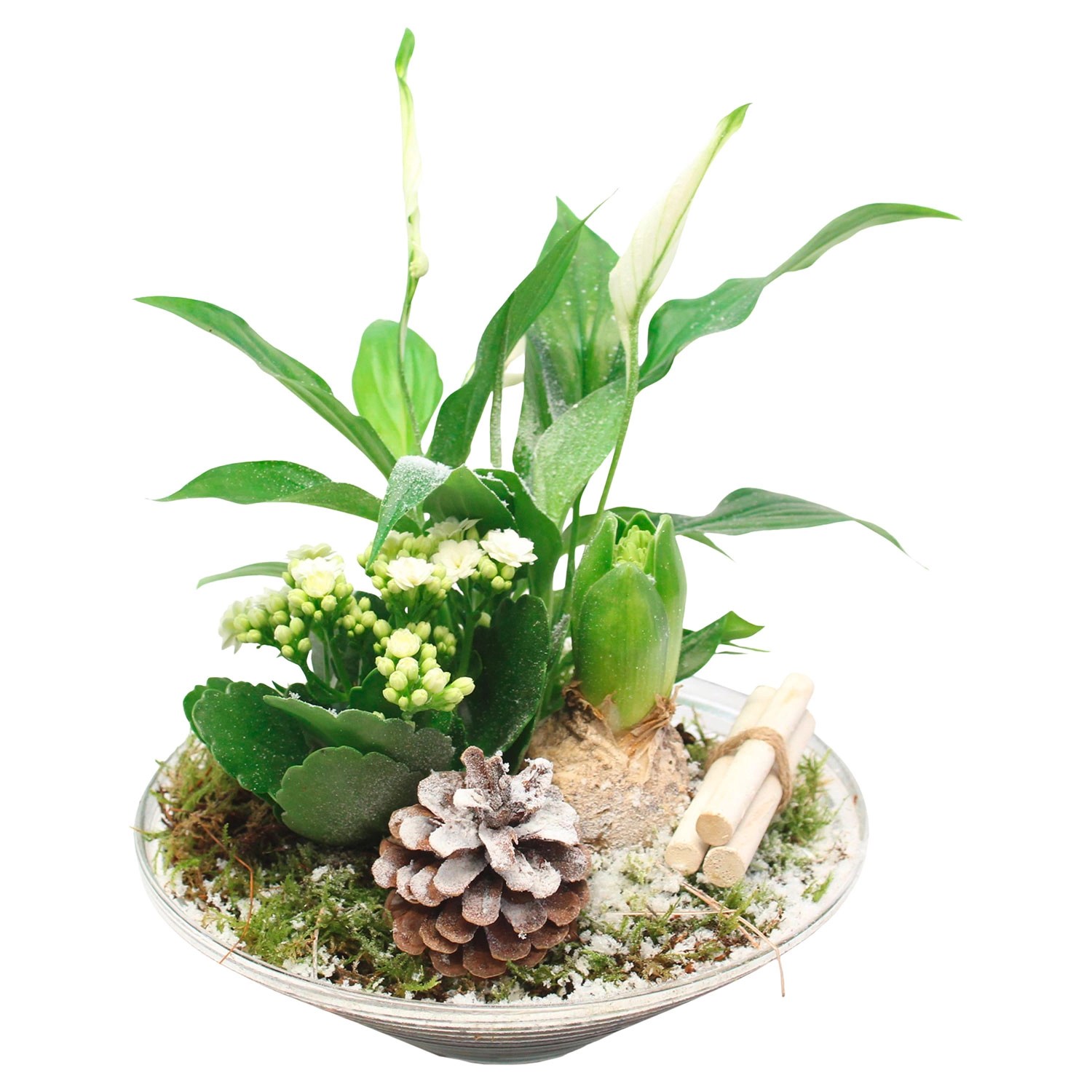 GARDENLINE® Weihnachtliches Arrangement ALDI SÜD