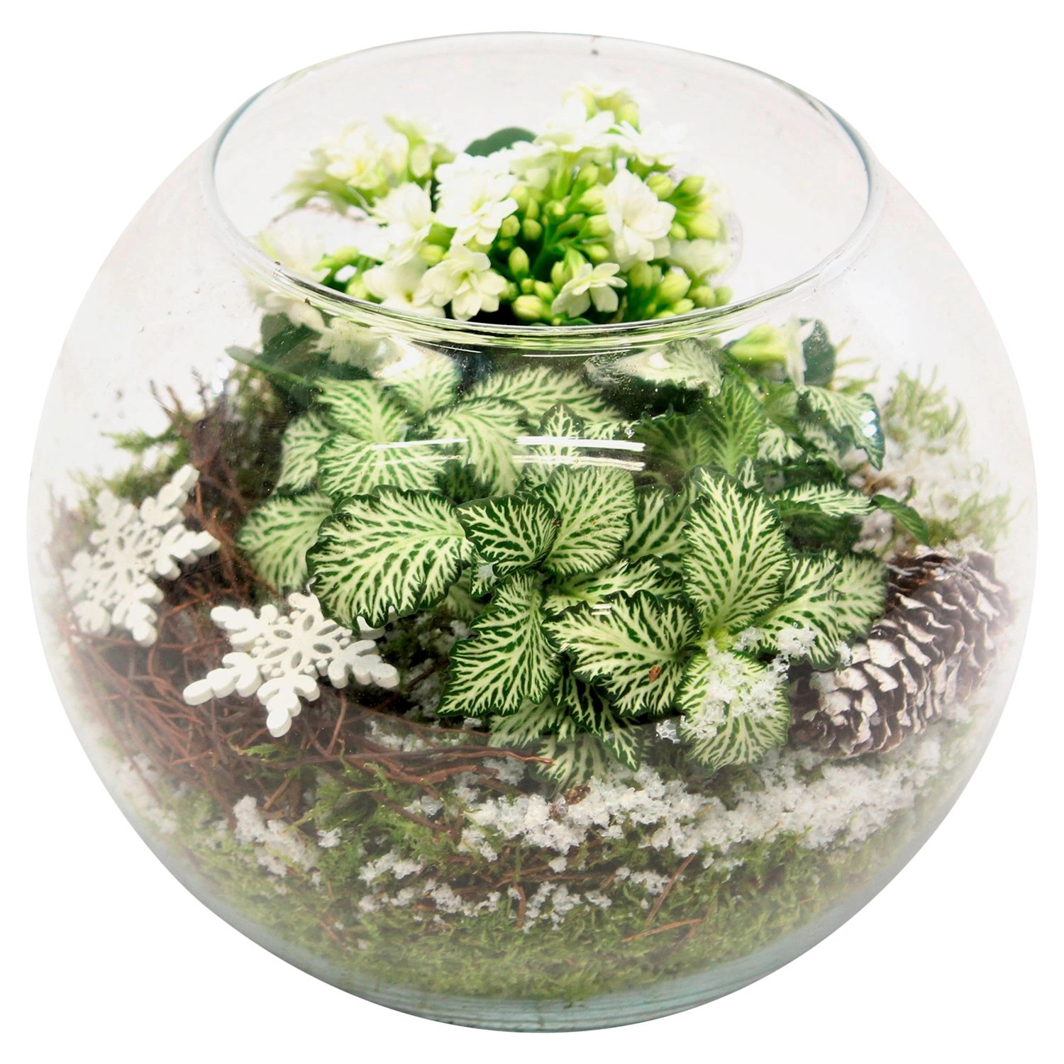 GARDENLINE® Weihnachtliches Arrangement ALDI SÜD