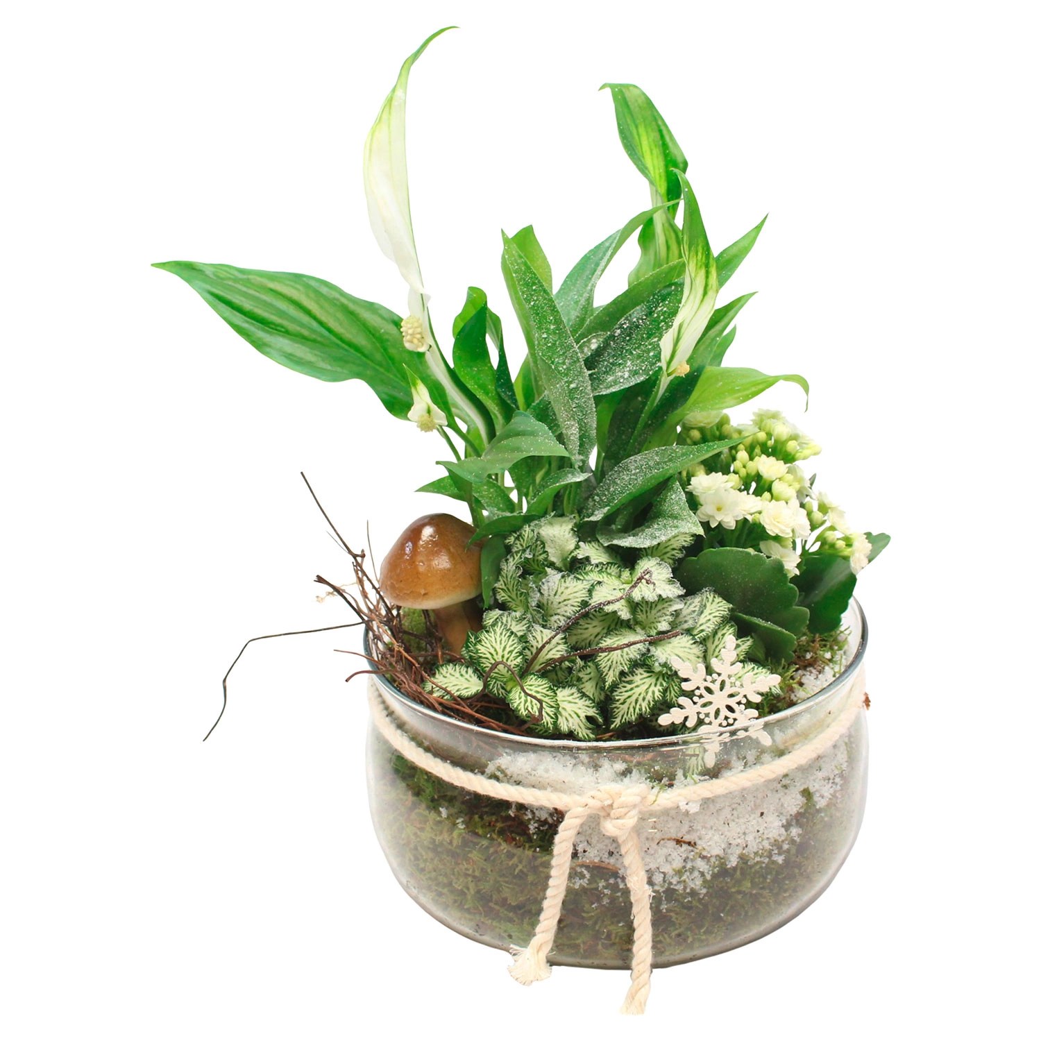 GARDENLINE® Weihnachtliches Arrangement ALDI SÜD