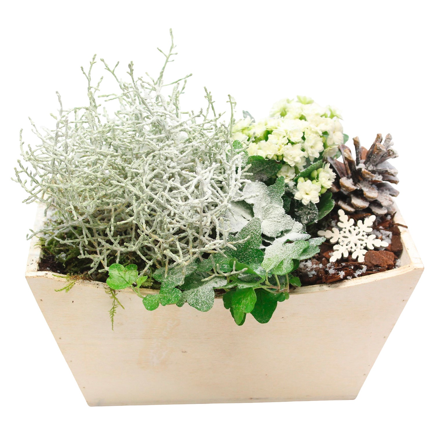 GARDENLINE® Weihnachtliches Arrangement ALDI SÜD