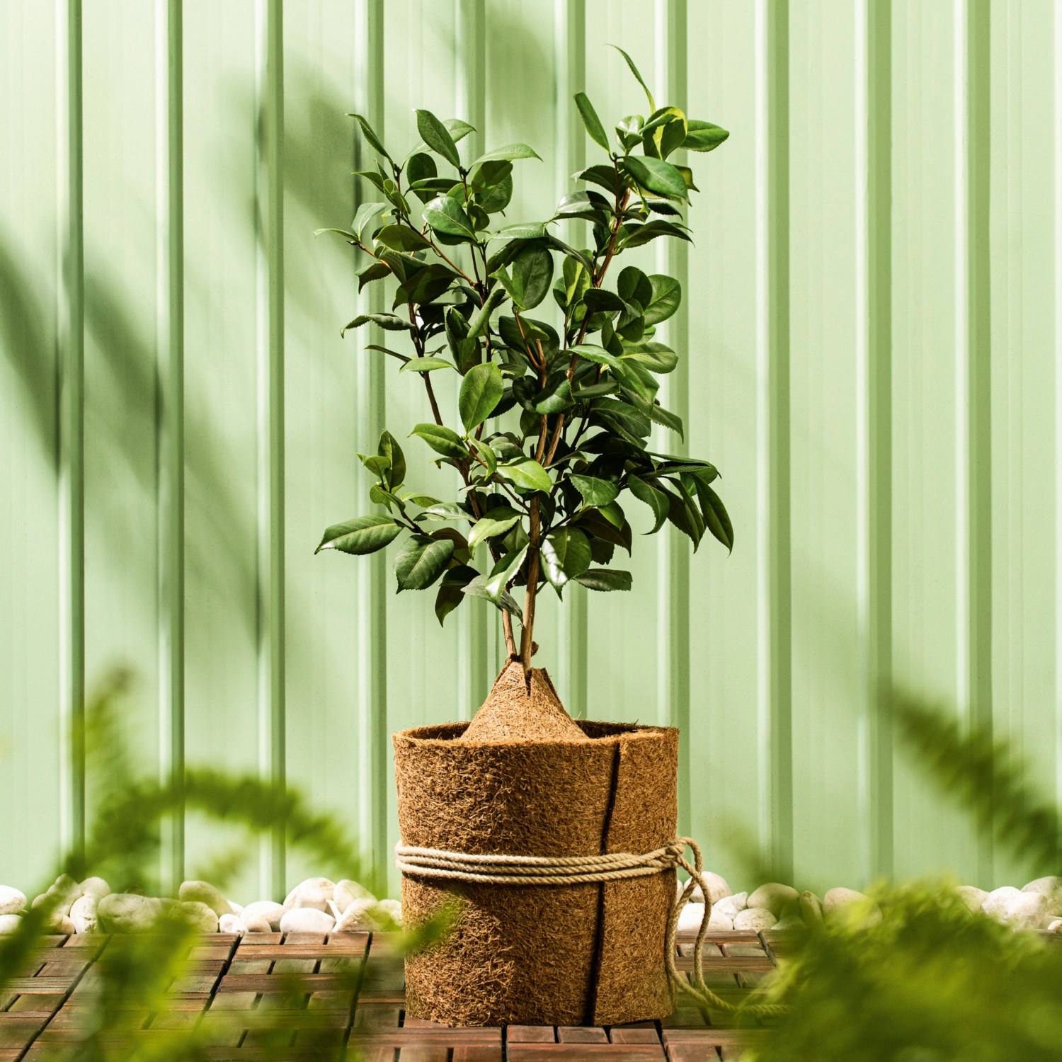 GARDENLINE Tappetino protettivo invernale ALDI